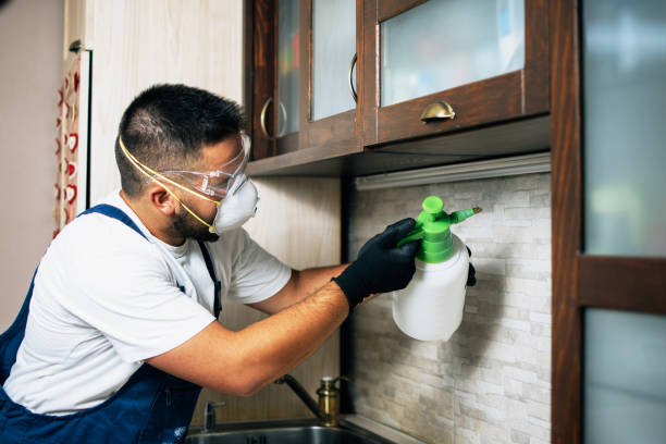 Best Pest Removal Services  in Waldron, AR