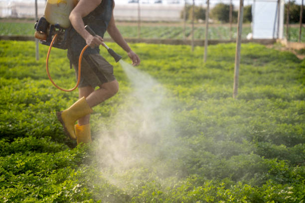 Best Residential Pest Control  in Waldron, AR