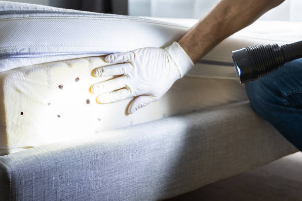Best Best Pest Control Companies  in Waldron, AR