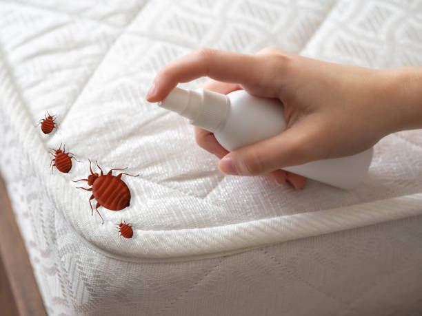 Pest Control Cost in Waldron, AR