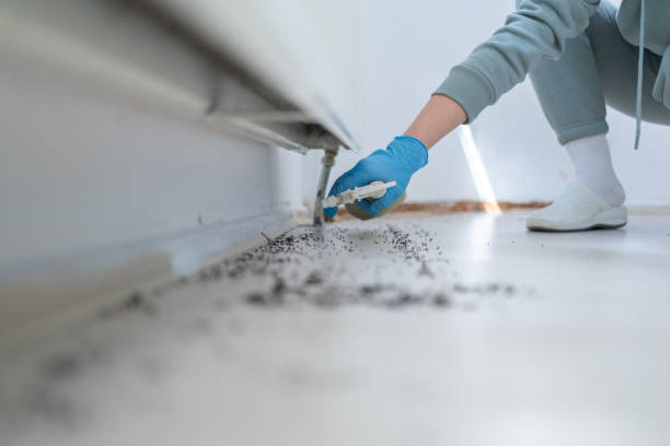 Pest Prevention Services in Waldron, AR