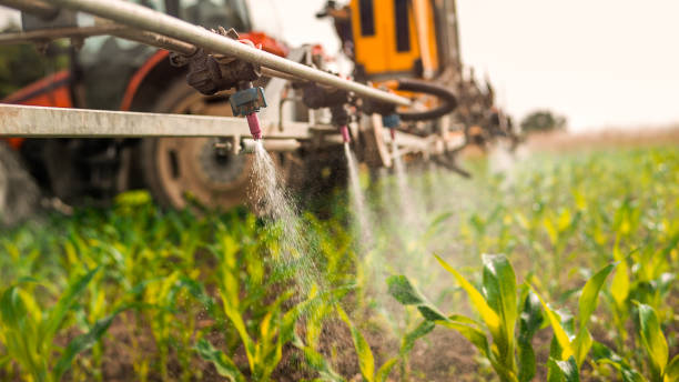 Best Pest Prevention Services  in Waldron, AR